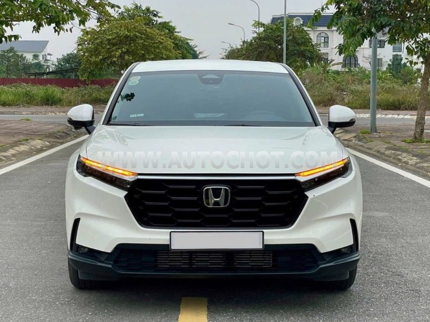 Xe Honda CRV L 2024