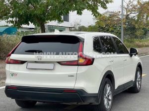 Xe Honda CRV L 2024