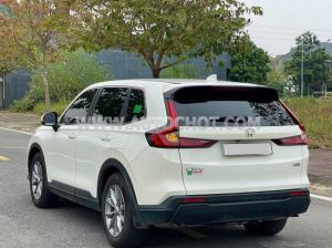 Xe Honda CRV L 2024