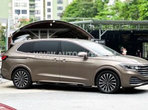 Xe Volkswagen Viloran Luxury 2024