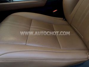 Xe Lexus RX 300 2021