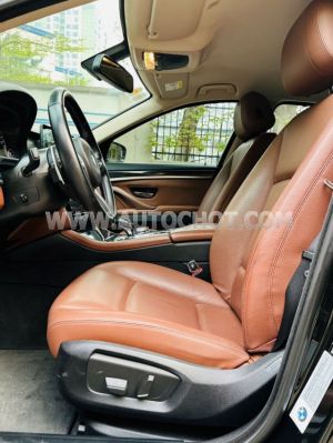 Xe BMW 5 Series 520i 2016