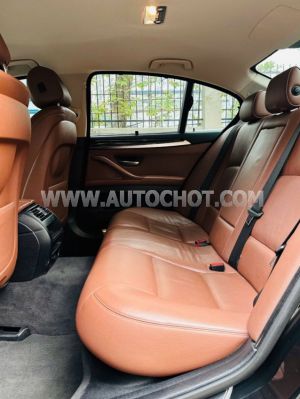 Xe BMW 5 Series 520i 2016