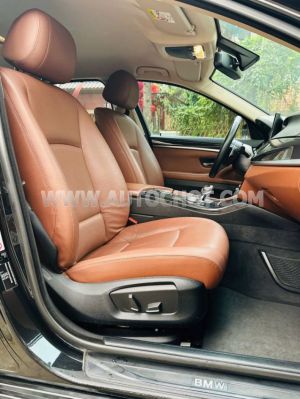 Xe BMW 5 Series 520i 2016