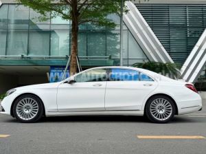 Xe Mercedes Benz S class S450L 2020