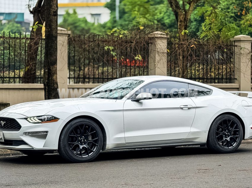 Ford Mustang EcoBoost Fastback 2018