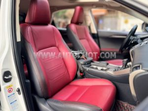 Xe Lexus NX 300 2019