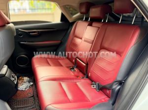 Xe Lexus NX 300 2019