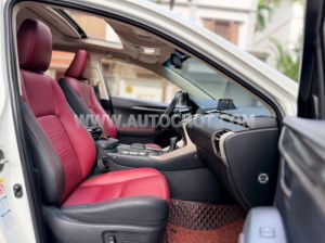 Xe Lexus NX 300 2019