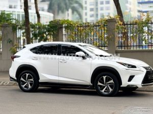 Xe Lexus NX 300 2019