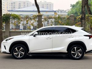 Xe Lexus NX 300 2019