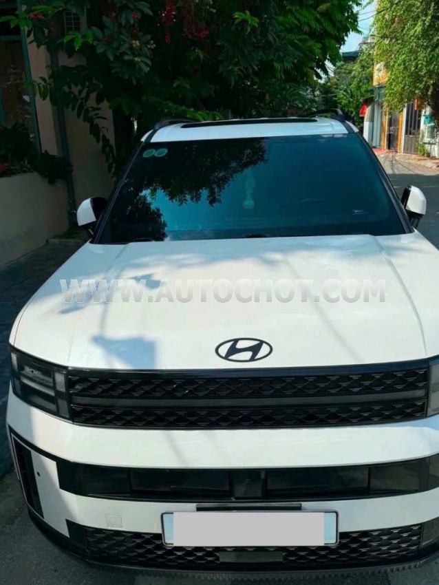 Hyundai SantaFe Calligraphy 2.5L HTRAC 6S 2024