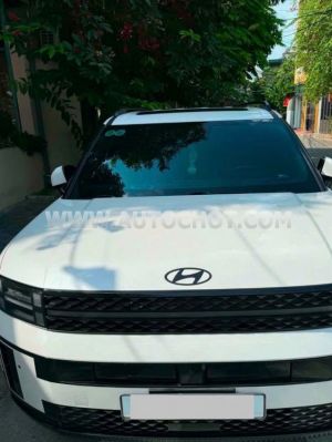 Xe Hyundai SantaFe Calligraphy 2.5L Turbo HTRAC 2024