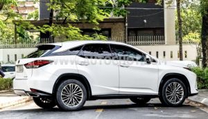 Xe Lexus RX 300 2021