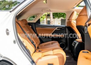 Xe Lexus RX 300 2021