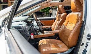 Xe Lexus RX 300 2021