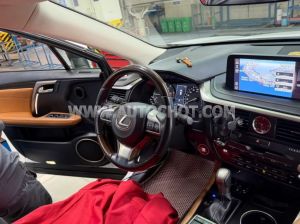 Xe Lexus RX 300 2020