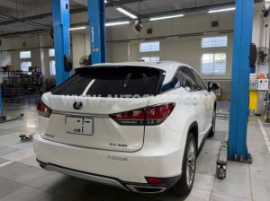 Xe Lexus RX 300 2020