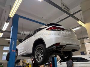Xe Lexus RX 300 2020