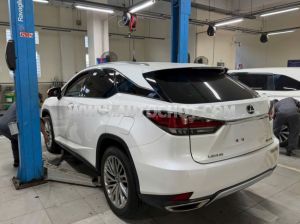 Xe Lexus RX 300 2020