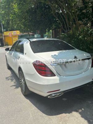 Xe Mercedes Benz S class S450L 2020
