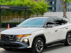 Xe Hyundai Tucson 2.0 AT CRDi Đặc biệt 2024