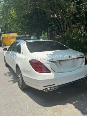 Xe Mercedes Benz S class S450L 2020