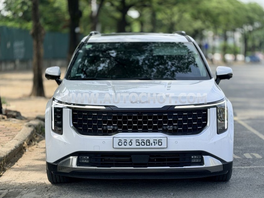 Kia Carnival Signature 1.6 Turbo HEV 7S 2025