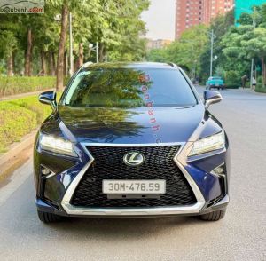 Xe Lexus RX 300 2019