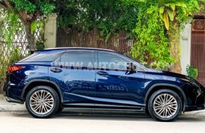 Xe Lexus RX 300 2019