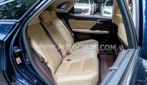 Xe Lexus RX 300 2019