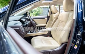 Xe Lexus RX 300 2019