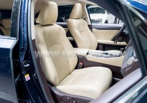 Xe Lexus RX 300 2019