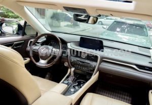 Xe Lexus RX 300 2019