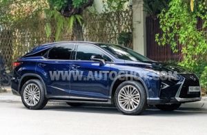 Xe Lexus RX 300 2019