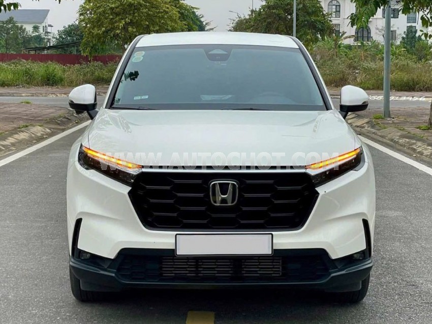 Xe Honda CRV L 2024