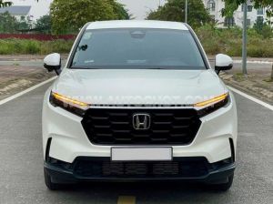 Xe Honda CRV L 2024