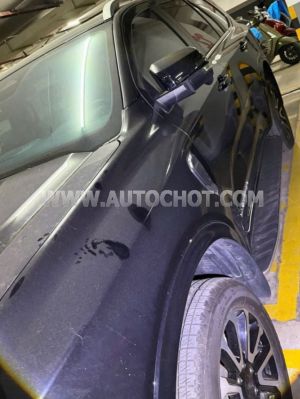 Xe Ford Everest Platinum 2.0L 4x4 AT 2025