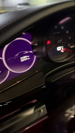Xe Porsche Panamera 4 2021