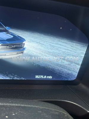 Xe Ford Ranger Raptor 2.0L 4x4 AT 2024