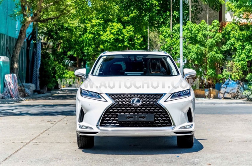 Lexus RX 300 2020