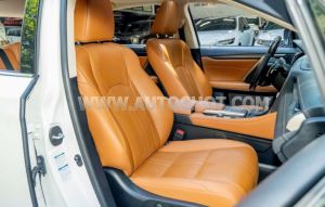 Xe Lexus RX 300 2020