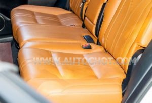 Xe Lexus RX 300 2020