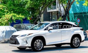 Xe Lexus RX 300 2020