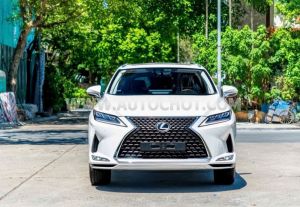 Xe Lexus RX 300 2020