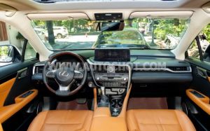 Xe Lexus RX 300 2020