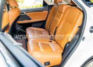 Xe Lexus RX 300 2020