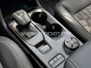 Xe Ford Everest Platinum 2.0L 4x4 AT 2024