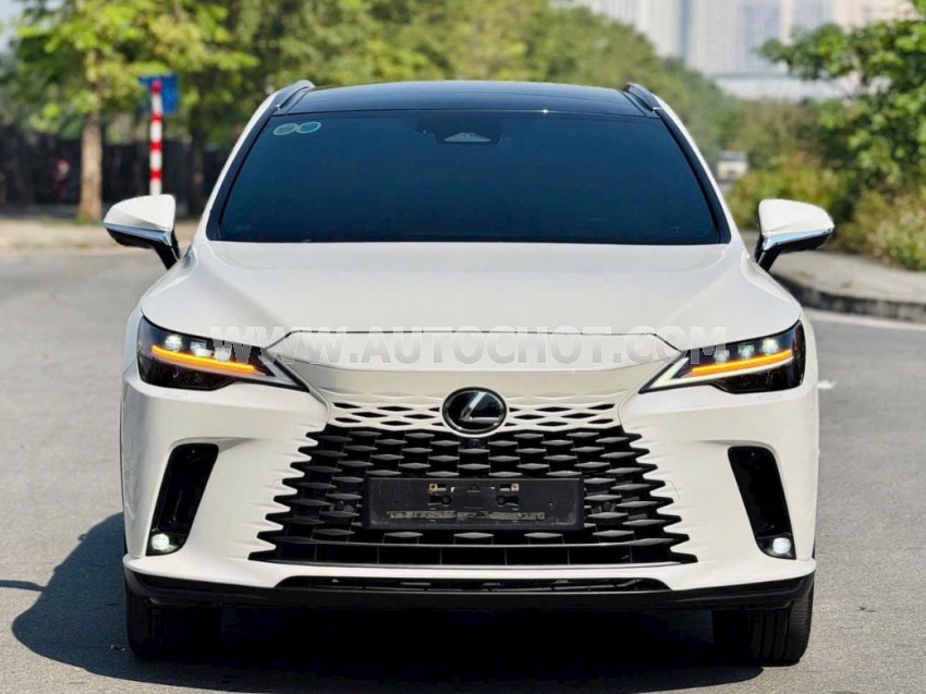 Lexus RX 350 Luxury 2023