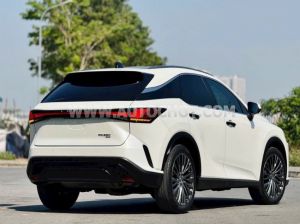 Xe Lexus RX 350 Luxury 2023